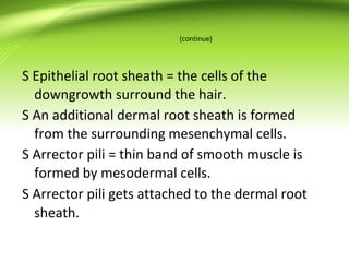 formations of tissues in body | PPT