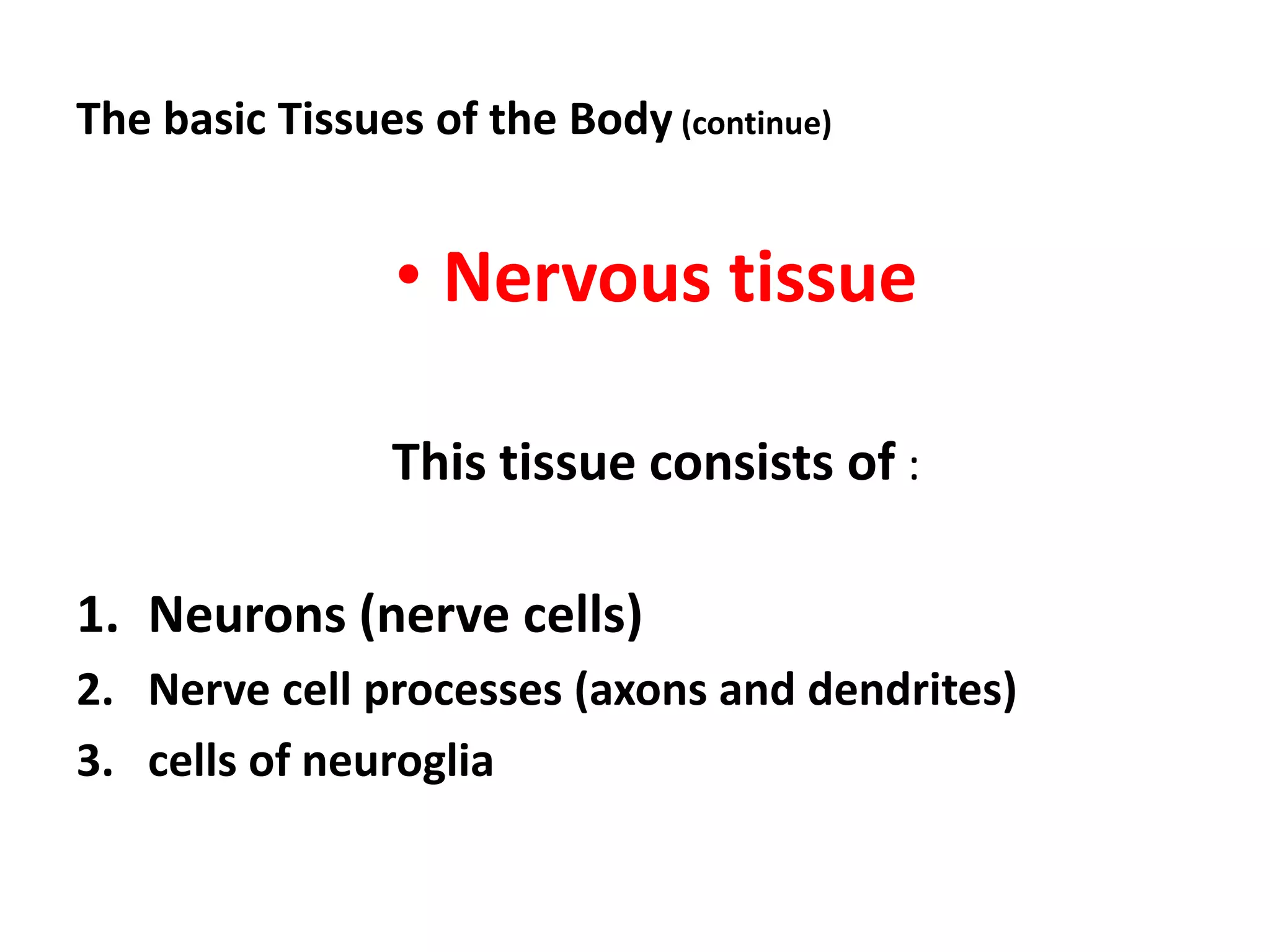 The basic Tissues of the Body (continue)
• Nervous tissue
This tissue consists of :
1. Neurons (nerve cells)
2. Nerve cell processes (axons and dendrites)
3. cells of neuroglia
 