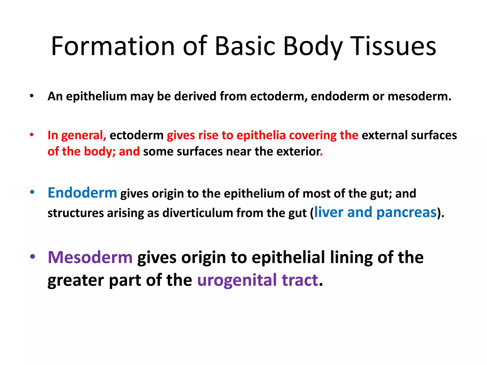 Formation of Basic Body Tissues
• An epithelium may be derived from ectoderm, endoderm or mesoderm.
• In general, ectoderm gives rise to epithelia covering the external surfaces
of the body; and some surfaces near the exterior.
• Endoderm gives origin to the epithelium of most of the gut; and
structures arising as diverticulum from the gut (liver and pancreas).
• Mesoderm gives origin to epithelial lining of the
greater part of the urogenital tract.
 