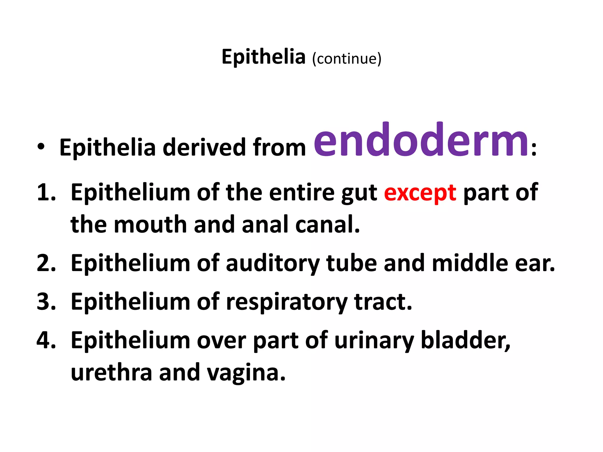Epithelia (continue)
• Epithelia derived from endoderm:
1. Epithelium of the entire gut except part of
the mouth and anal canal.
2. Epithelium of auditory tube and middle ear.
3. Epithelium of respiratory tract.
4. Epithelium over part of urinary bladder,
urethra and vagina.
 