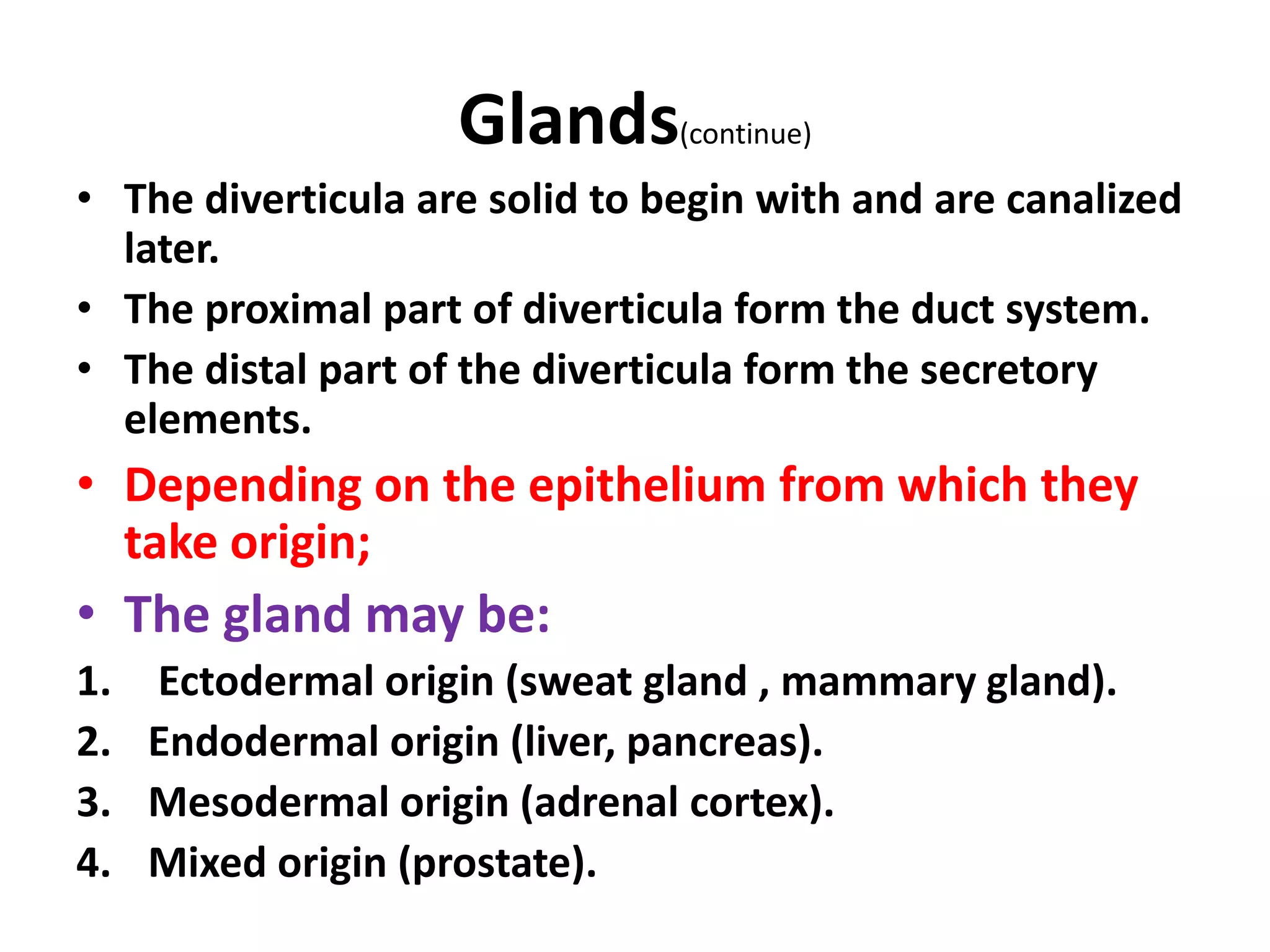 Glands(continue)
• The diverticula are solid to begin with and are canalized
later.
• The proximal part of diverticula form the duct system.
• The distal part of the diverticula form the secretory
elements.
• Depending on the epithelium from which they
take origin;
• The gland may be:
1. Ectodermal origin (sweat gland , mammary gland).
2. Endodermal origin (liver, pancreas).
3. Mesodermal origin (adrenal cortex).
4. Mixed origin (prostate).
 