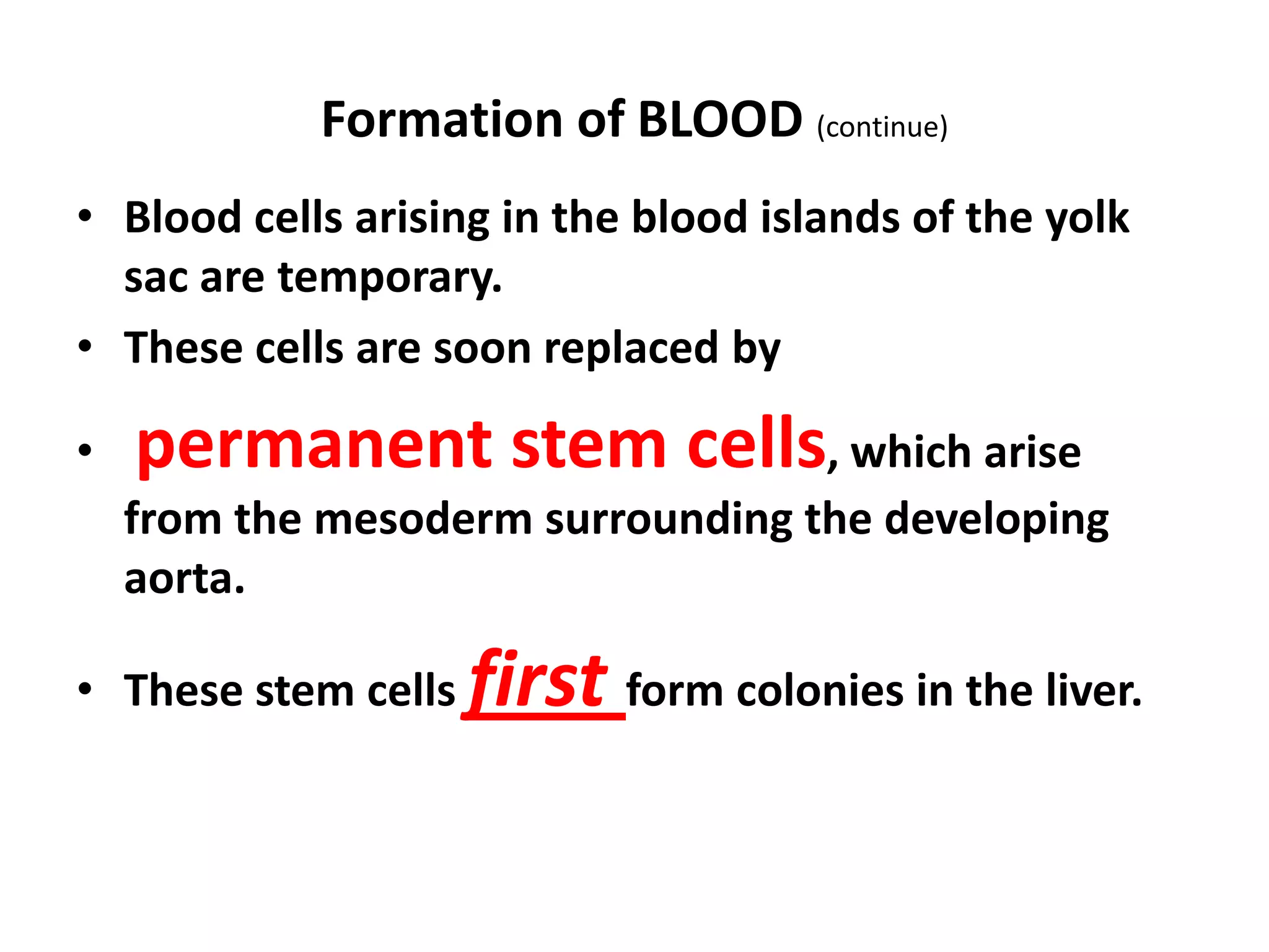 Formation of BLOOD (continue)
• Blood cells arising in the blood islands of the yolk
sac are temporary.
• These cells are soon replaced by
• permanent stem cells, which arise
from the mesoderm surrounding the developing
aorta.
• These stem cells first form colonies in the liver.
 