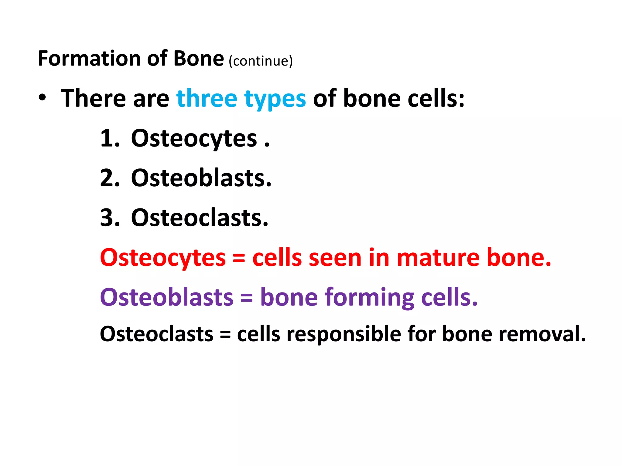 Formation of Bone (continue)
• There are three types of bone cells:
1. Osteocytes .
2. Osteoblasts.
3. Osteoclasts.
Osteocytes = cells seen in mature bone.
Osteoblasts = bone forming cells.
Osteoclasts = cells responsible for bone removal.
 