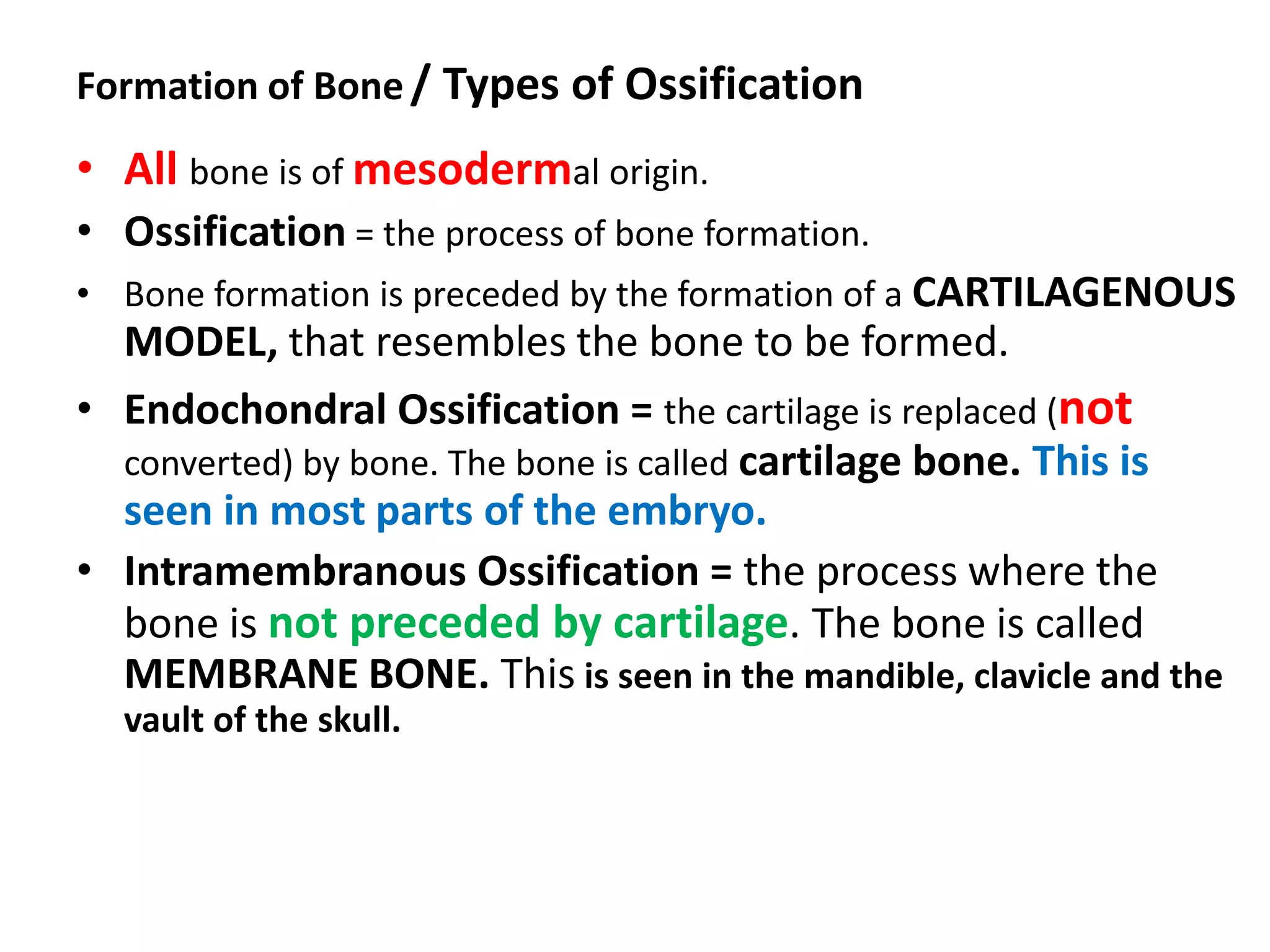 Formation of Bone / Types of Ossification
• All bone is of mesodermal origin.
• Ossification = the process of bone formation.
• Bone formation is preceded by the formation of a CARTILAGENOUS
MODEL, that resembles the bone to be formed.
• Endochondral Ossification = the cartilage is replaced (not
converted) by bone. The bone is called cartilage bone. This is
seen in most parts of the embryo.
• Intramembranous Ossification = the process where the
bone is not preceded by cartilage. The bone is called
MEMBRANE BONE. This is seen in the mandible, clavicle and the
vault of the skull.
 