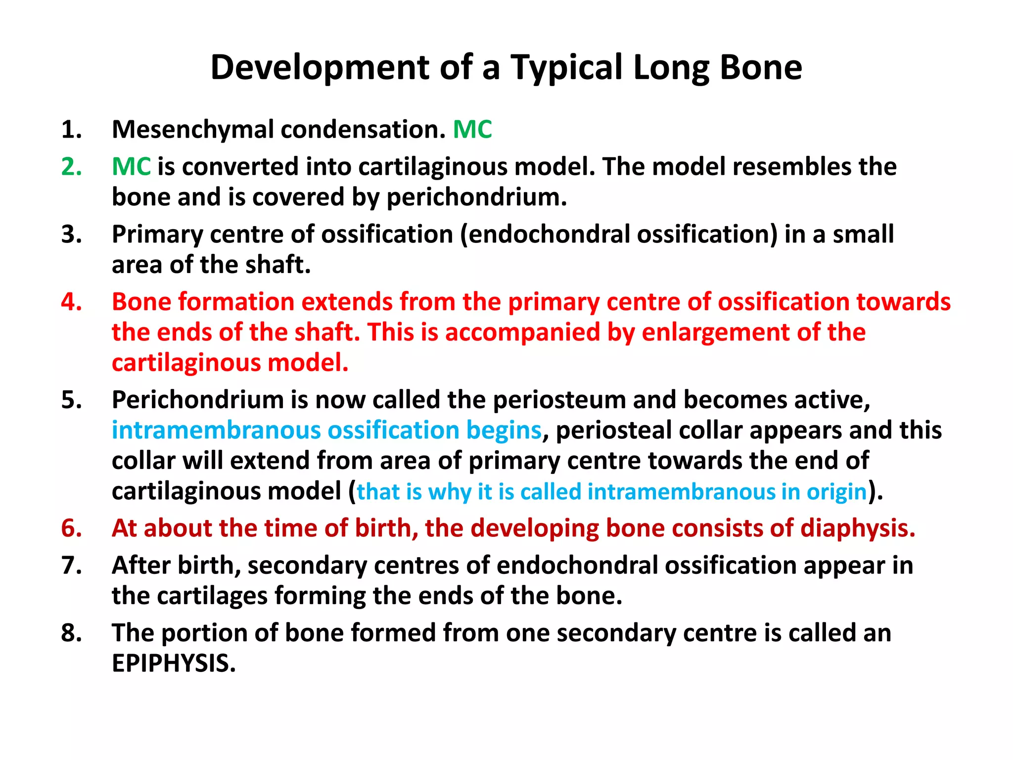 Development of a Typical Long Bone
1. Mesenchymal condensation. MC
2. MC is converted into cartilaginous model. The model resembles the
bone and is covered by perichondrium.
3. Primary centre of ossification (endochondral ossification) in a small
area of the shaft.
4. Bone formation extends from the primary centre of ossification towards
the ends of the shaft. This is accompanied by enlargement of the
cartilaginous model.
5. Perichondrium is now called the periosteum and becomes active,
intramembranous ossification begins, periosteal collar appears and this
collar will extend from area of primary centre towards the end of
cartilaginous model (that is why it is called intramembranous in origin).
6. At about the time of birth, the developing bone consists of diaphysis.
7. After birth, secondary centres of endochondral ossification appear in
the cartilages forming the ends of the bone.
8. The portion of bone formed from one secondary centre is called an
EPIPHYSIS.
 