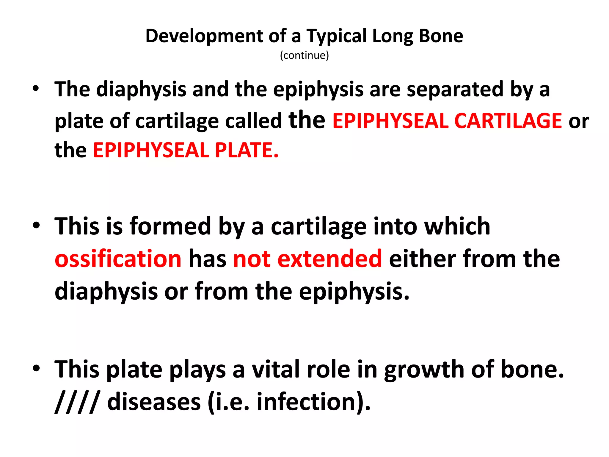 • The diaphysis and the epiphysis are separated by a
plate of cartilage called the EPIPHYSEAL CARTILAGE or
the EPIPHYSEAL PLATE.
• This is formed by a cartilage into which
ossification has not extended either from the
diaphysis or from the epiphysis.
• This plate plays a vital role in growth of bone.
//// diseases (i.e. infection).
Development of a Typical Long Bone
(continue)
 