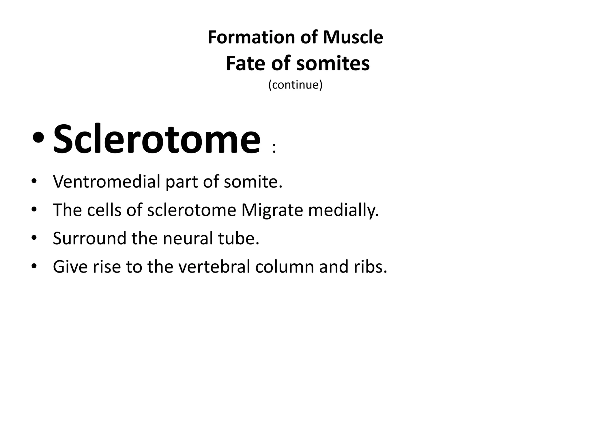 •Sclerotome :
• Ventromedial part of somite.
• The cells of sclerotome Migrate medially.
• Surround the neural tube.
• Give rise to the vertebral column and ribs.
Formation of Muscle
Fate of somites
(continue)
 