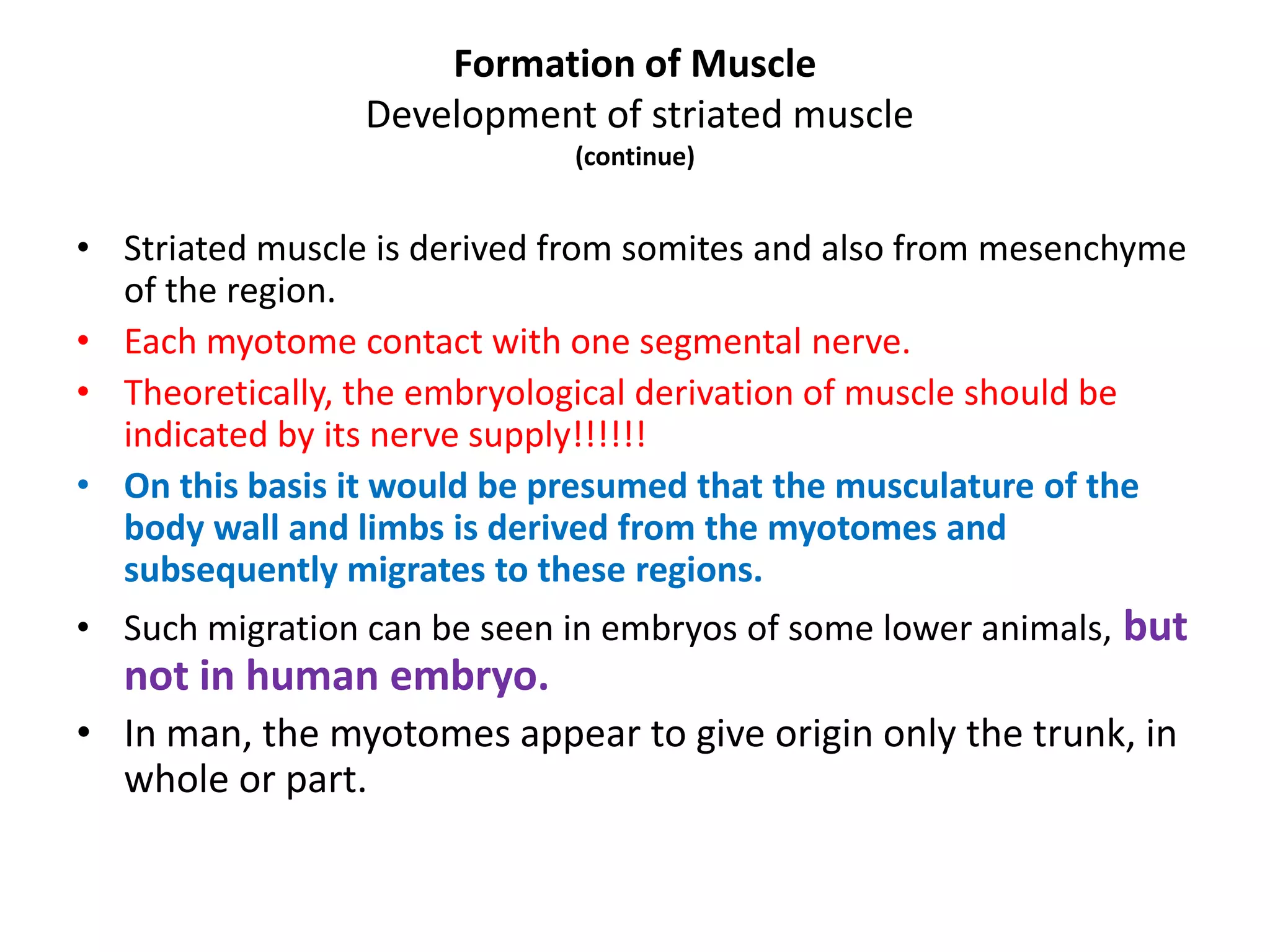 • Striated muscle is derived from somites and also from mesenchyme
of the region.
• Each myotome contact with one segmental nerve.
• Theoretically, the embryological derivation of muscle should be
indicated by its nerve supply!!!!!!
• On this basis it would be presumed that the musculature of the
body wall and limbs is derived from the myotomes and
subsequently migrates to these regions.
• Such migration can be seen in embryos of some lower animals, but
not in human embryo.
• In man, the myotomes appear to give origin only the trunk, in
whole or part.
Formation of Muscle
Development of striated muscle
(continue)
 