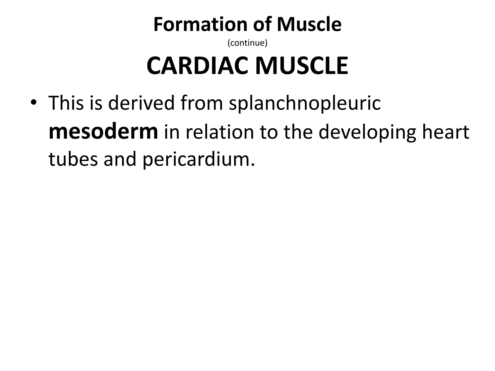 • This is derived from splanchnopleuric
mesoderm in relation to the developing heart
tubes and pericardium.
Formation of Muscle
(continue)
CARDIAC MUSCLE
 