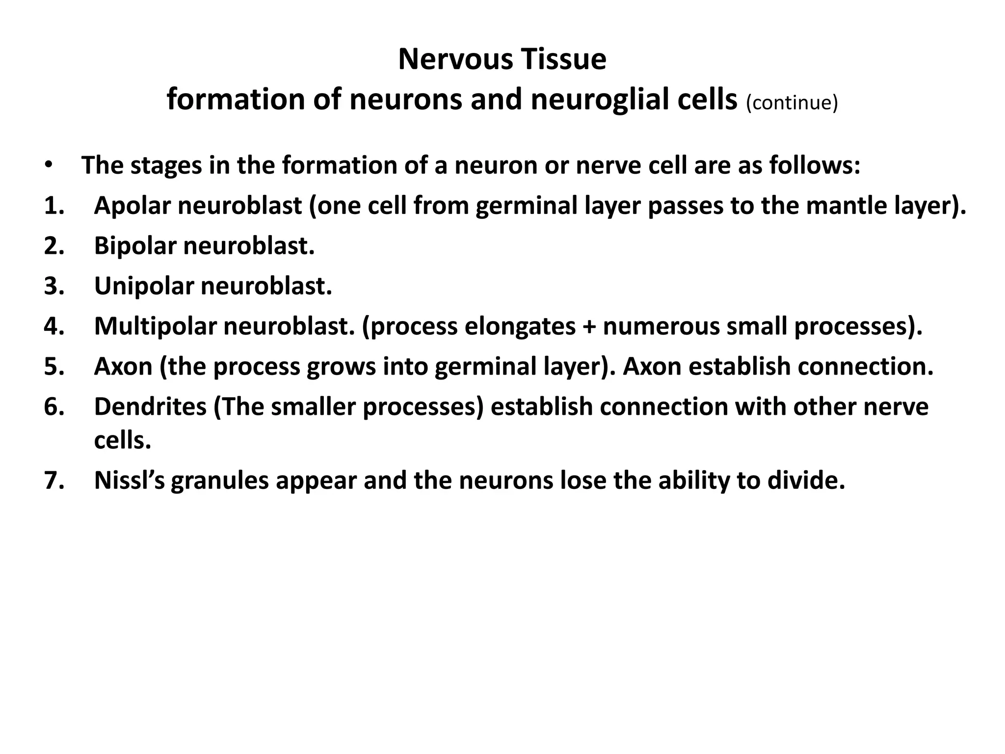 • The stages in the formation of a neuron or nerve cell are as follows:
1. Apolar neuroblast (one cell from germinal layer passes to the mantle layer).
2. Bipolar neuroblast.
3. Unipolar neuroblast.
4. Multipolar neuroblast. (process elongates + numerous small processes).
5. Axon (the process grows into germinal layer). Axon establish connection.
6. Dendrites (The smaller processes) establish connection with other nerve
cells.
7. Nissl’s granules appear and the neurons lose the ability to divide.
Nervous Tissue
formation of neurons and neuroglial cells (continue)
 