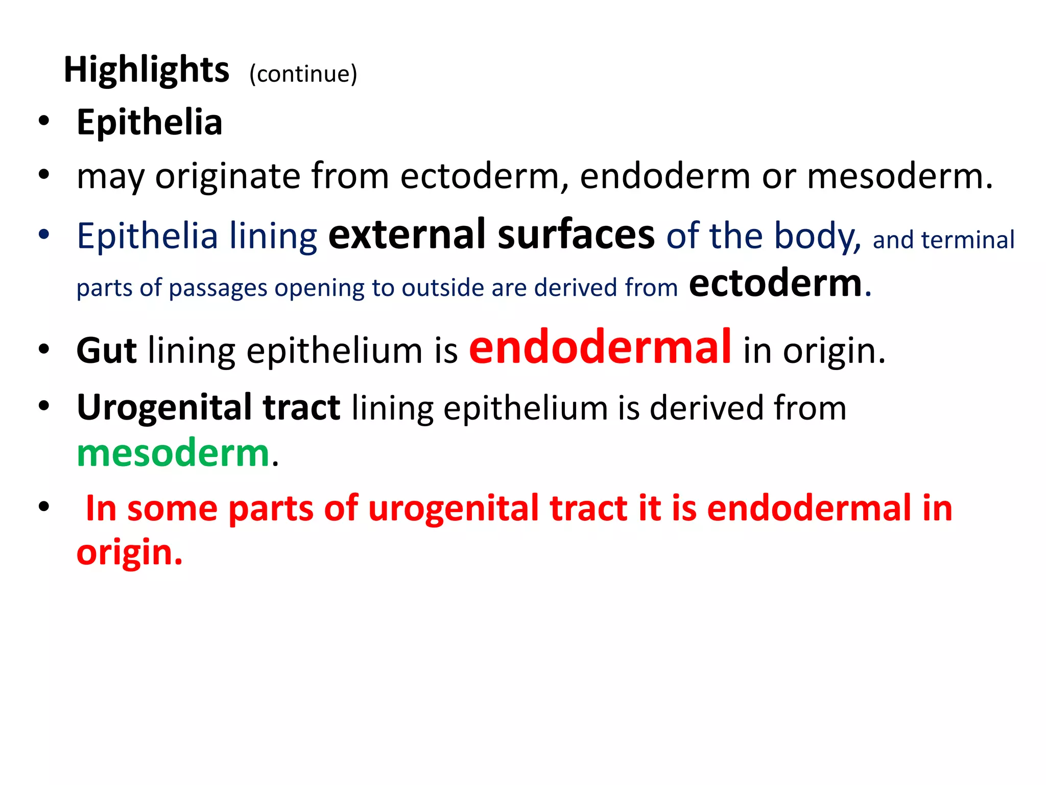Highlights (continue)
• Epithelia
• may originate from ectoderm, endoderm or mesoderm.
• Epithelia lining external surfaces of the body, and terminal
parts of passages opening to outside are derived from ectoderm.
• Gut lining epithelium is endodermal in origin.
• Urogenital tract lining epithelium is derived from
mesoderm.
• In some parts of urogenital tract it is endodermal in
origin.
 