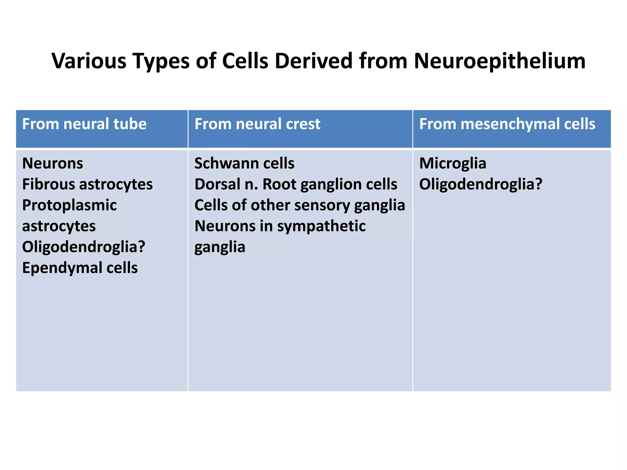 Various Types of Cells Derived from Neuroepithelium
From neural tube From neural crest From mesenchymal cells
Neurons
Fibrous astrocytes
Protoplasmic
astrocytes
Oligodendroglia?
Ependymal cells
Schwann cells
Dorsal n. Root ganglion cells
Cells of other sensory ganglia
Neurons in sympathetic
ganglia
Microglia
Oligodendroglia?
 