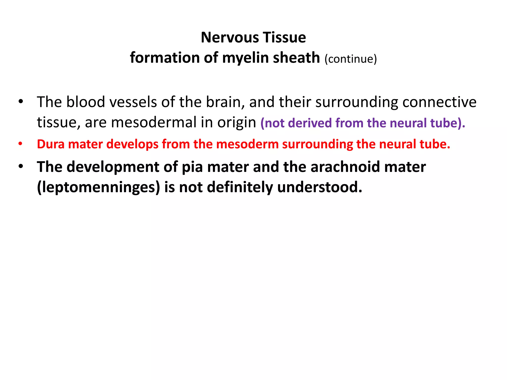 • The blood vessels of the brain, and their surrounding connective
tissue, are mesodermal in origin (not derived from the neural tube).
• Dura mater develops from the mesoderm surrounding the neural tube.
• The development of pia mater and the arachnoid mater
(leptomenninges) is not definitely understood.
Nervous Tissue
formation of myelin sheath (continue)
 