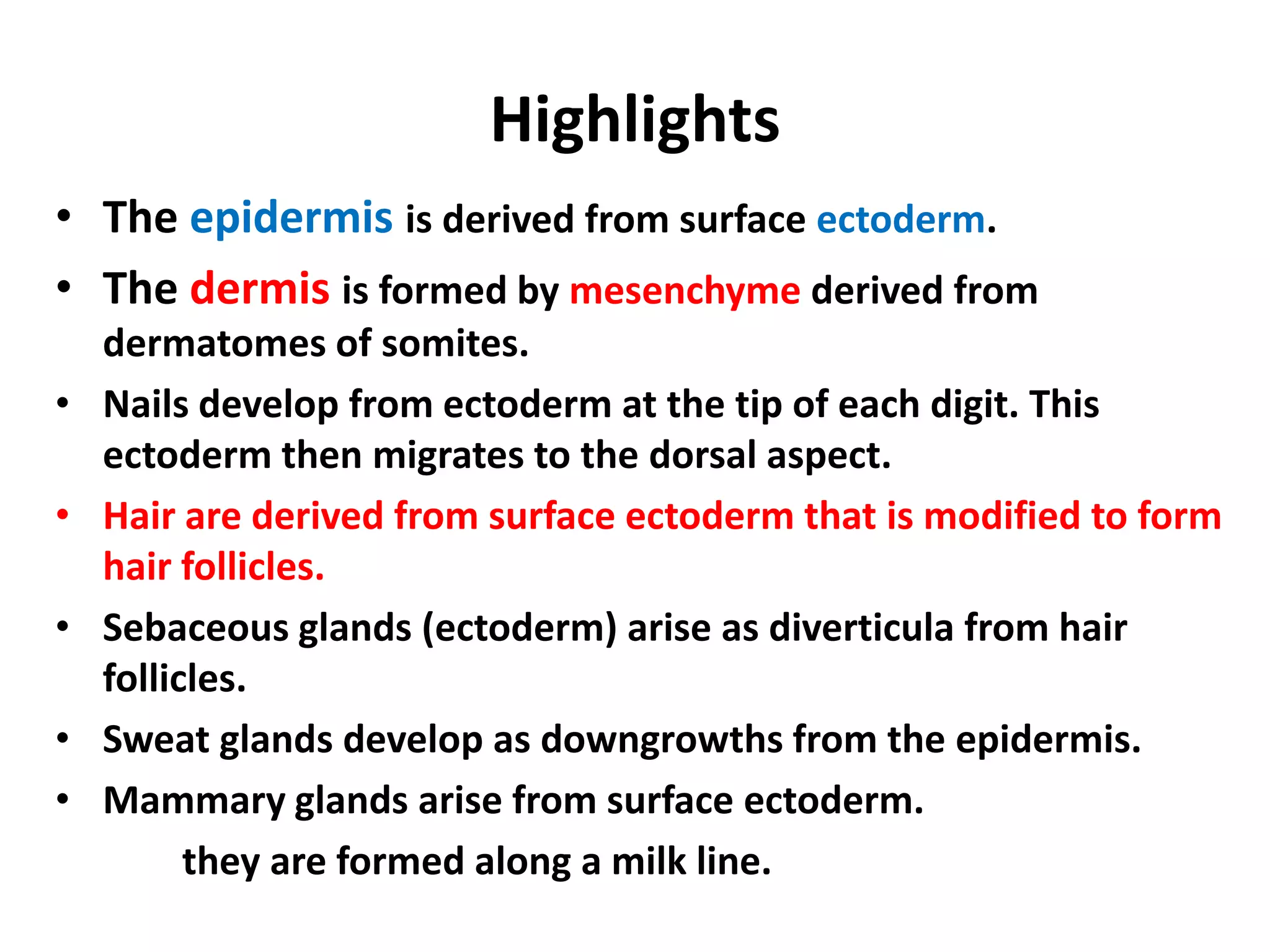 • The epidermis is derived from surface ectoderm.
• The dermis is formed by mesenchyme derived from
dermatomes of somites.
• Nails develop from ectoderm at the tip of each digit. This
ectoderm then migrates to the dorsal aspect.
• Hair are derived from surface ectoderm that is modified to form
hair follicles.
• Sebaceous glands (ectoderm) arise as diverticula from hair
follicles.
• Sweat glands develop as downgrowths from the epidermis.
• Mammary glands arise from surface ectoderm.
they are formed along a milk line.
Highlights
 