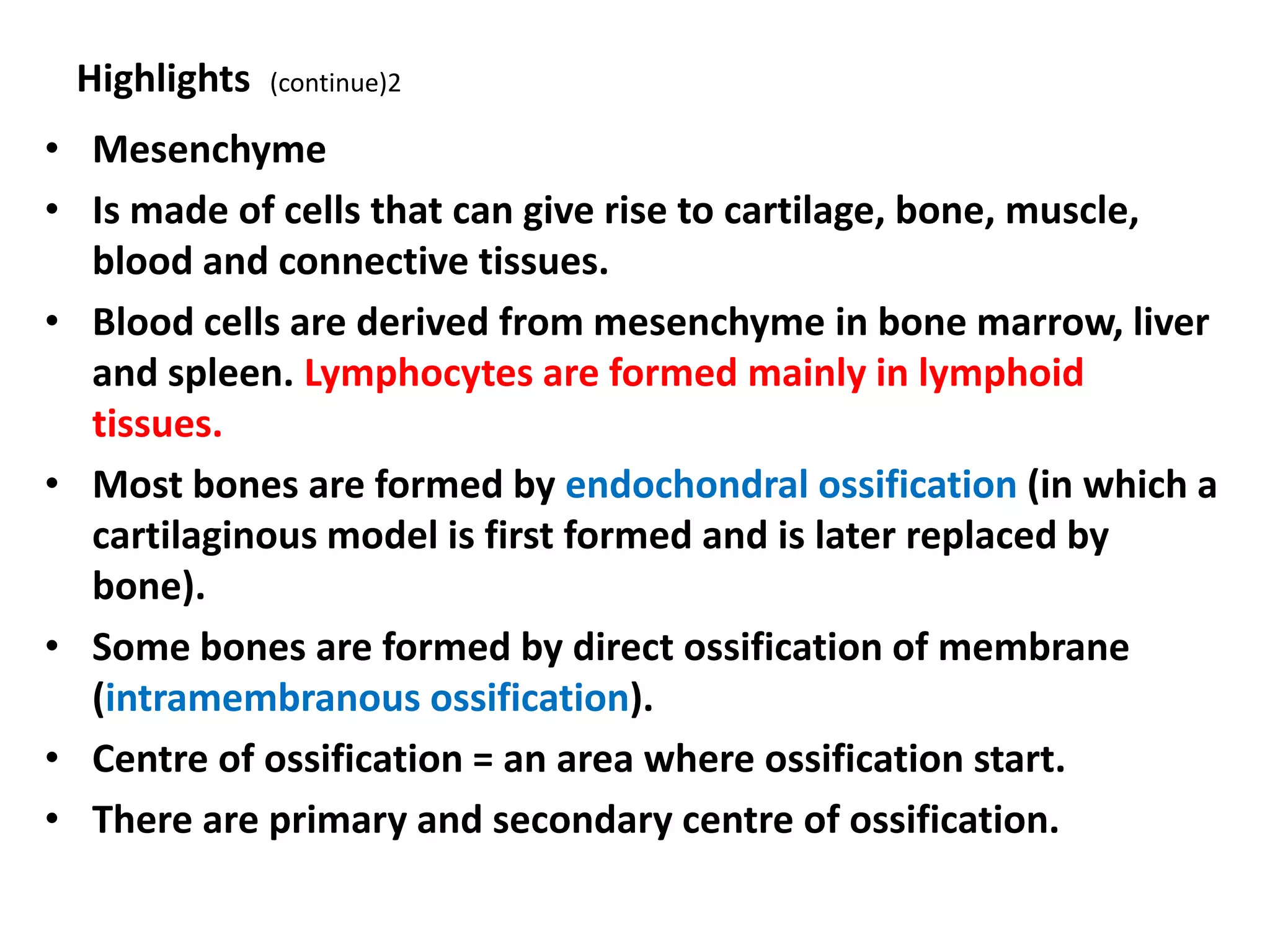Highlights (continue)2
• Mesenchyme
• Is made of cells that can give rise to cartilage, bone, muscle,
blood and connective tissues.
• Blood cells are derived from mesenchyme in bone marrow, liver
and spleen. Lymphocytes are formed mainly in lymphoid
tissues.
• Most bones are formed by endochondral ossification (in which a
cartilaginous model is first formed and is later replaced by
bone).
• Some bones are formed by direct ossification of membrane
(intramembranous ossification).
• Centre of ossification = an area where ossification start.
• There are primary and secondary centre of ossification.
 