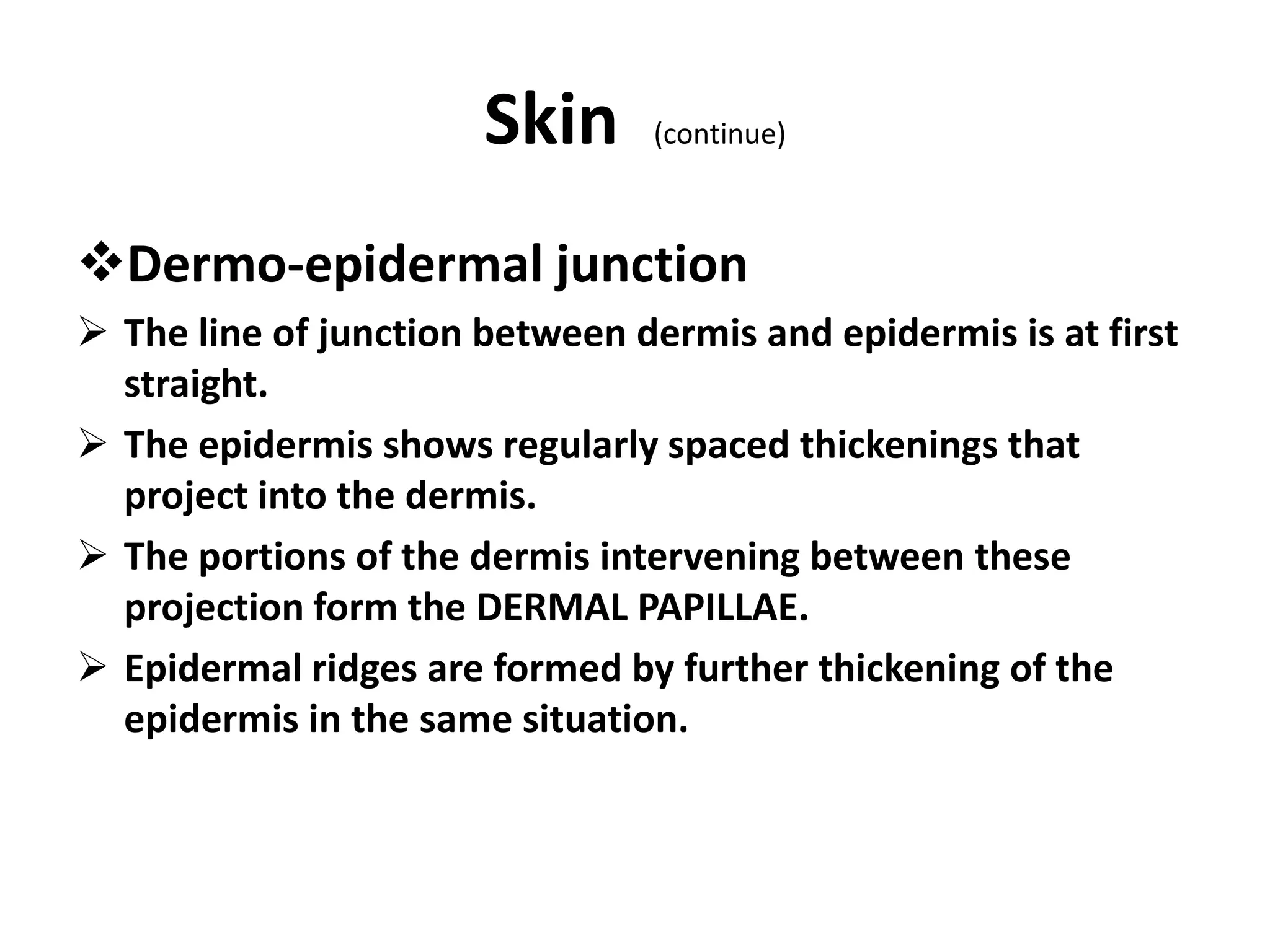 Dermo-epidermal junction
 The line of junction between dermis and epidermis is at first
straight.
 The epidermis shows regularly spaced thickenings that
project into the dermis.
 The portions of the dermis intervening between these
projection form the DERMAL PAPILLAE.
 Epidermal ridges are formed by further thickening of the
epidermis in the same situation.
Skin (continue)
 