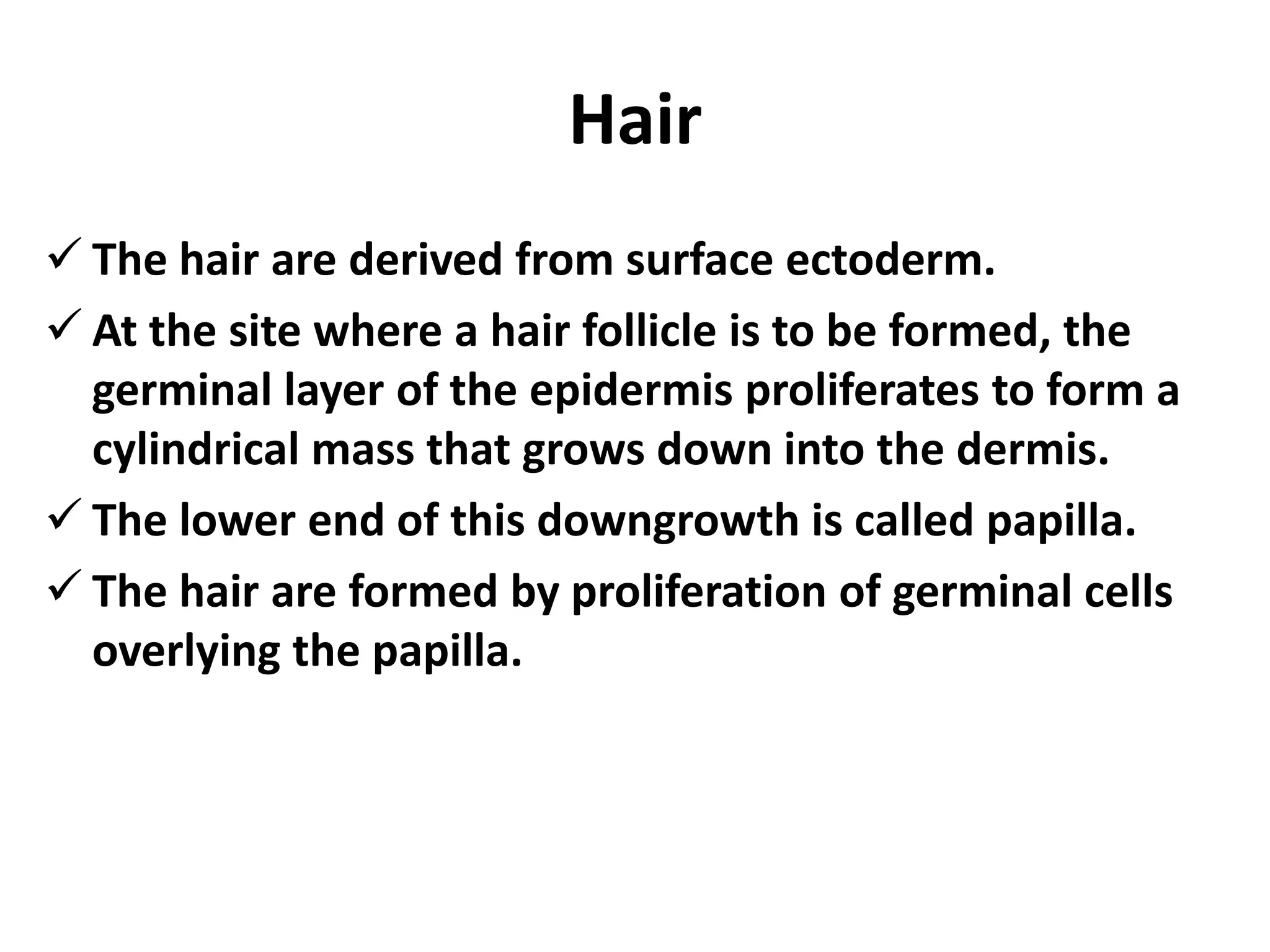 Hair
 The hair are derived from surface ectoderm.
 At the site where a hair follicle is to be formed, the
germinal layer of the epidermis proliferates to form a
cylindrical mass that grows down into the dermis.
 The lower end of this downgrowth is called papilla.
 The hair are formed by proliferation of germinal cells
overlying the papilla.
 