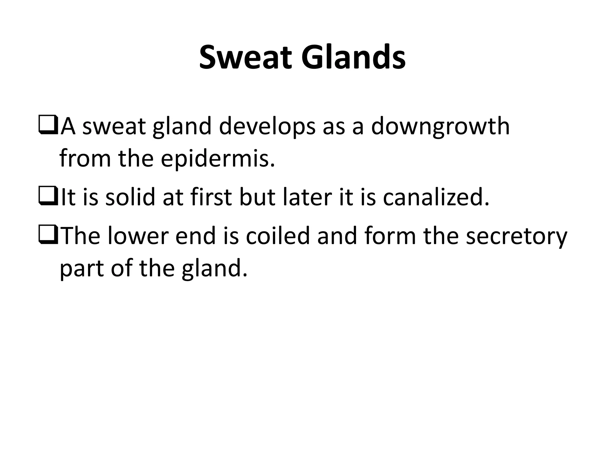 Sweat Glands
A sweat gland develops as a downgrowth
from the epidermis.
It is solid at first but later it is canalized.
The lower end is coiled and form the secretory
part of the gland.
 