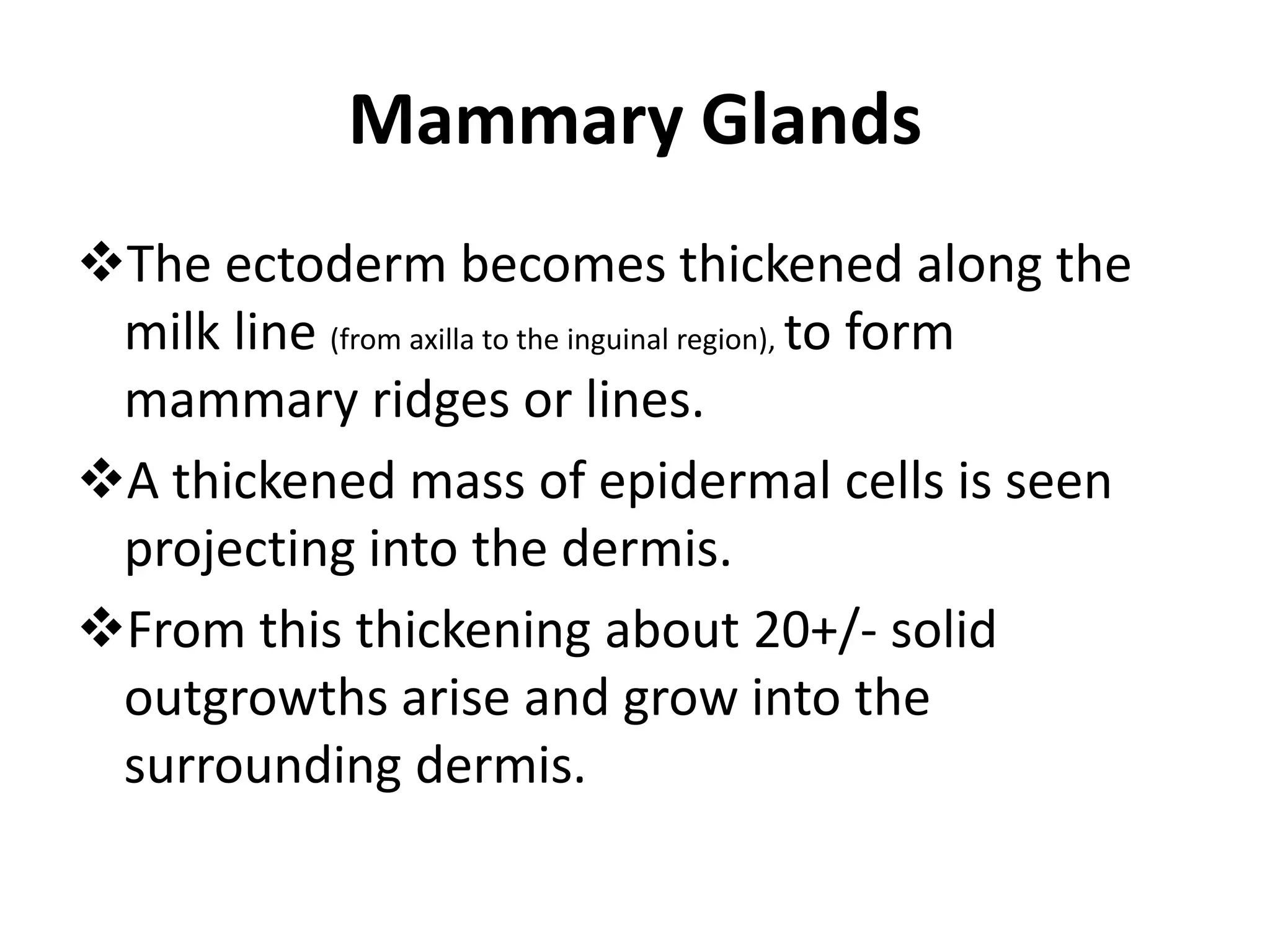 Mammary Glands
The ectoderm becomes thickened along the
milk line (from axilla to the inguinal region), to form
mammary ridges or lines.
A thickened mass of epidermal cells is seen
projecting into the dermis.
From this thickening about 20+/- solid
outgrowths arise and grow into the
surrounding dermis.
 
