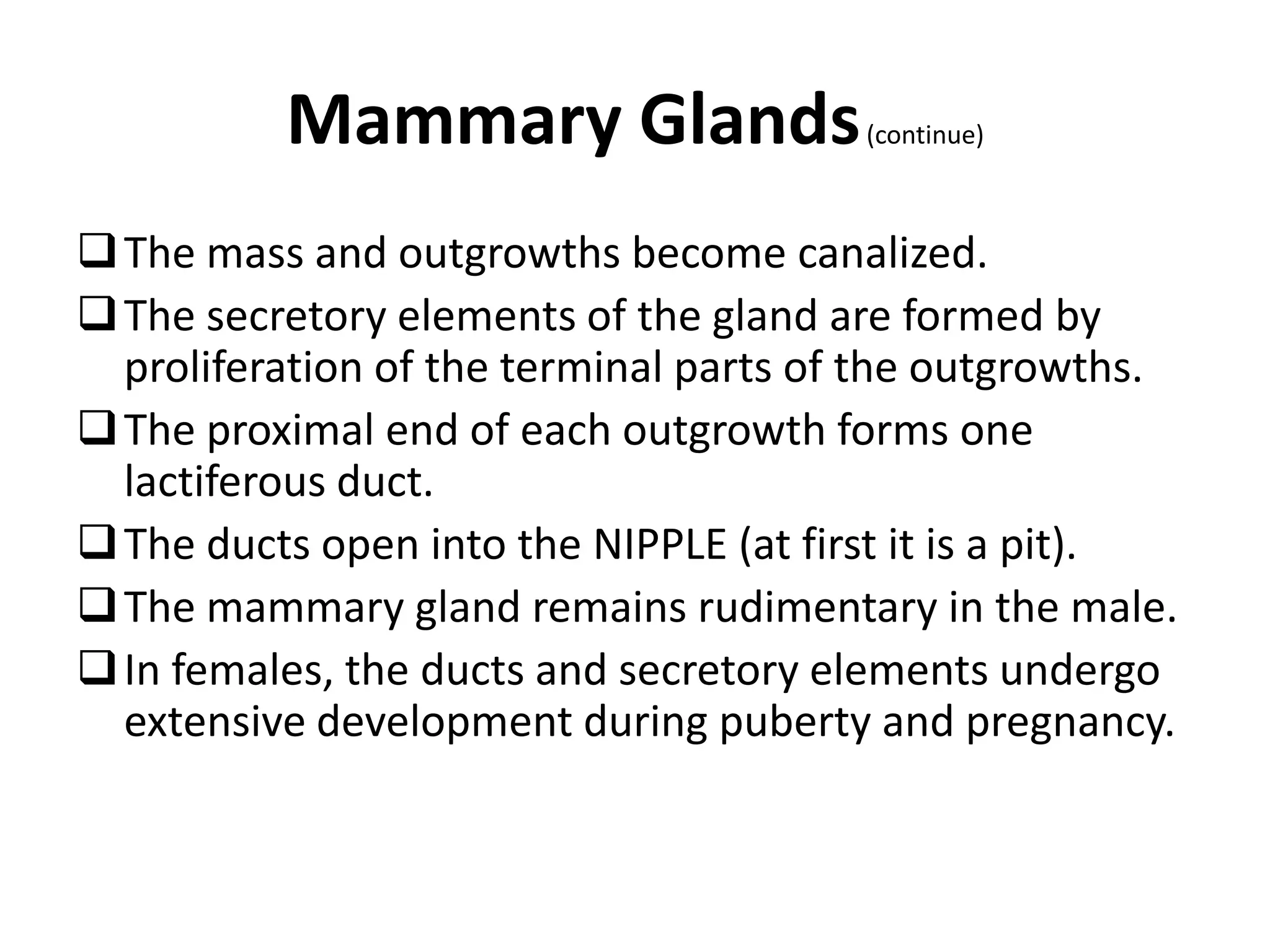 The mass and outgrowths become canalized.
The secretory elements of the gland are formed by
proliferation of the terminal parts of the outgrowths.
The proximal end of each outgrowth forms one
lactiferous duct.
The ducts open into the NIPPLE (at first it is a pit).
The mammary gland remains rudimentary in the male.
In females, the ducts and secretory elements undergo
extensive development during puberty and pregnancy.
Mammary Glands(continue)
 