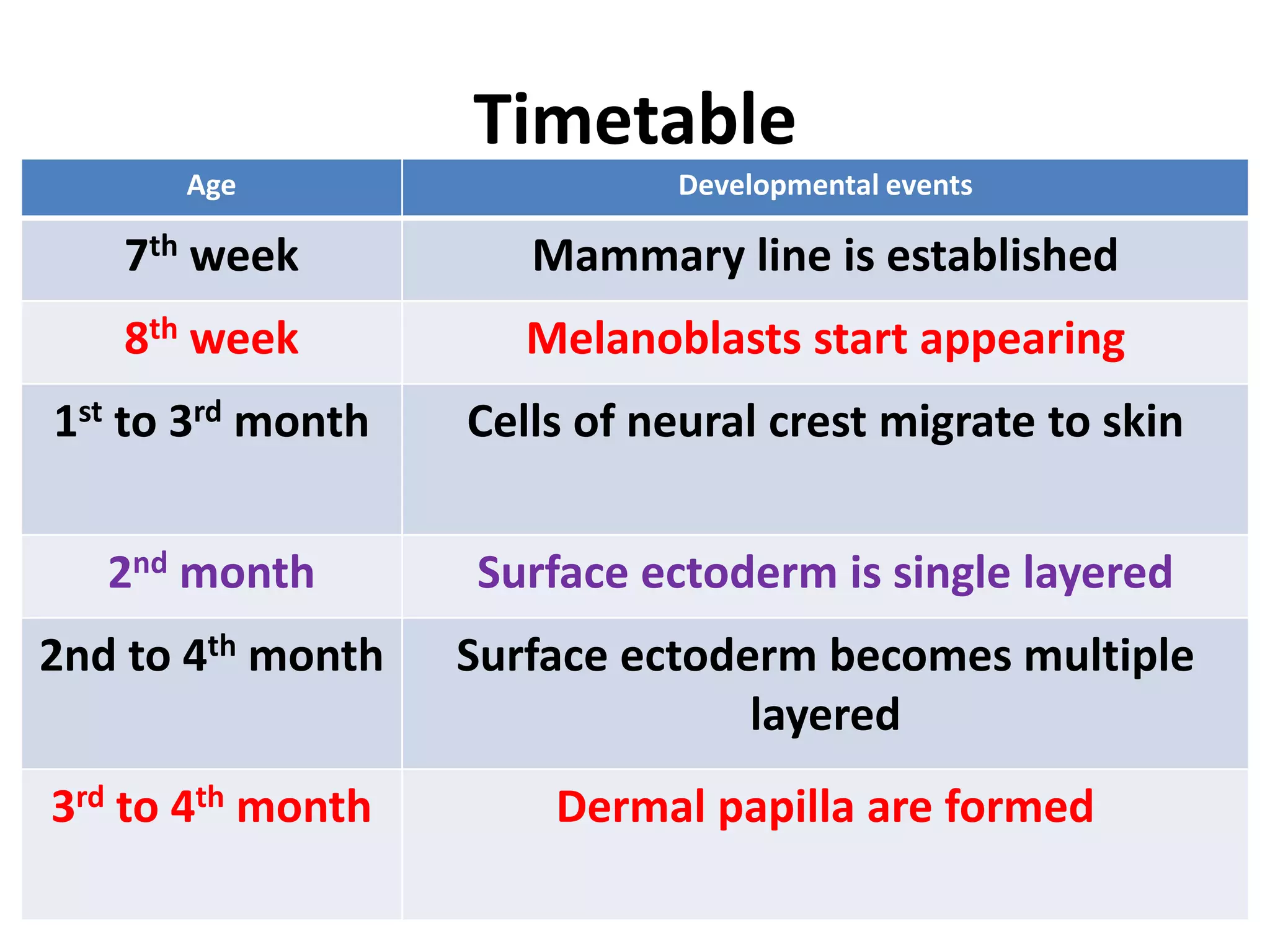 Timetable
Age Developmental events
7th week Mammary line is established
8th week Melanoblasts start appearing
1st to 3rd month Cells of neural crest migrate to skin
2nd month Surface ectoderm is single layered
2nd to 4th month Surface ectoderm becomes multiple
layered
3rd to 4th month Dermal papilla are formed
 