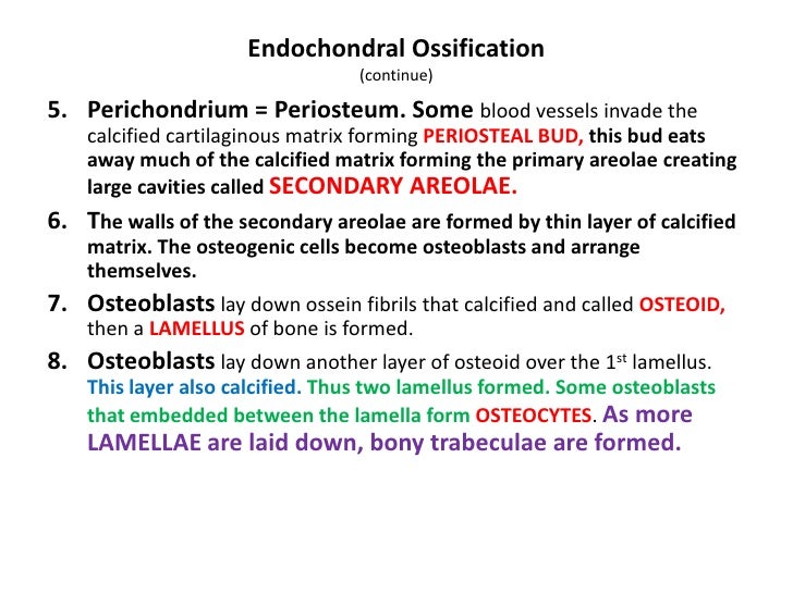 rehabilitacion bucal en odontopediatria