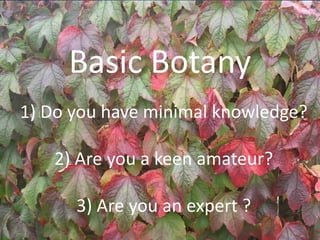 Basic Botany
1) Do you have minimal knowledge?

   2) Are you a keen amateur?

      3) Are you an expert ?
 
