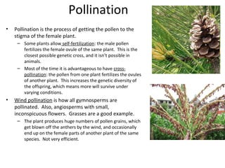 Pollination
• Pollination is the process of getting the pollen to the
stigma of the female plant.
– Some plants allow self...