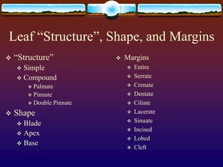 Leaf “Structure”, Shape, and Margins
 “Structure”
 Simple
 Compound
 Palmate
 Pinnate
 Double Pinnate
 Shape
 Blad...