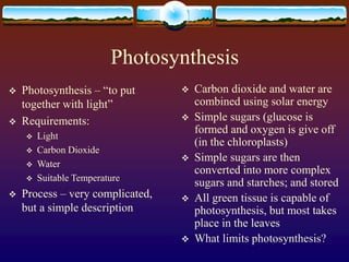 Photosynthesis
 Photosynthesis – “to put
together with light”
 Requirements:
 Light
 Carbon Dioxide
 Water
 Suitable...