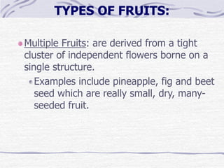 Basic_Botany_and_Plant_ Pathology_(script).ppt