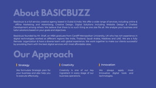 BASICBUZZ PORTFOLIO BY SHAFI SHAIK.pdf