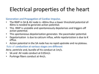 Cardiac Rmp BASIC CADIOVASCULAR PHYSIOLOGY.ppt
