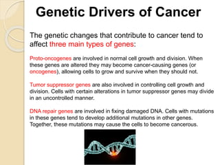 Genetic Drivers of Cancer
The genetic changes that contribute to cancer tend to
affect three main types of genes:
Proto-oncogenes are involved in normal cell growth and division. When
these genes are altered they may become cancer-causing genes (or
oncogenes), allowing cells to grow and survive when they should not.
Tumor suppressor genes are also involved in controlling cell growth and
division. Cells with certain alterations in tumor suppressor genes may divide
in an uncontrolled manner.
DNA repair genes are involved in fixing damaged DNA. Cells with mutations
in these genes tend to develop additional mutations in other genes.
Together, these mutations may cause the cells to become cancerous.
 