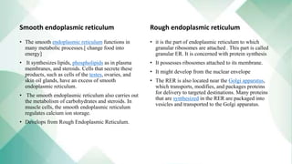 Smooth endoplasmic reticulum
• The smooth endoplasmic reticulum functions in
many metabolic processes.[ change food into
energy]
• It synthesizes lipids, phospholipids as in plasma
membranes, and steroids. Cells that secrete these
products, such as cells of the testes, ovaries, and
skin oil glands, have an excess of smooth
endoplasmic reticulum.
• The smooth endoplasmic reticulum also carries out
the metabolism of carbohydrates and steroids. In
muscle cells, the smooth endoplasmic reticulum
regulates calcium ion storage.
• Develops from Rough Endoplasmic Reticulum.
Rough endoplasmic reticulum
• it is the part of endoplasmic reticulum to which
granular ribosomes are attached . This part is called
granular ER. It is concerned with protein synthesis
• It possesses ribosomes attached to its membrane.
• It might develop from the nuclear envelope
• The RER is also located near the Golgi apparatus,
which transports, modifies, and packages proteins
for delivery to targeted destinations. Many proteins
that are synthesized in the RER are packaged into
vesicles and transported to the Golgi apparatus.
 
