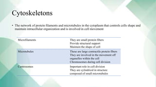 Cytoskeletons
• The network of protein filaments and microtubules in the cytoplasm that controls cells shape and
maintain intracellular organization and is involved in cell movement
Microfilaments They are small protein fibers
Provide structural support
Maintain the shape of cell
Microtubules These are large contractile protein fibers
They are involved in the movement off
organelles within the cell
Chromosomes during cell division
Centrosomes Important role in cell division
They are cylindrical in structure
composed of small microtubules
 