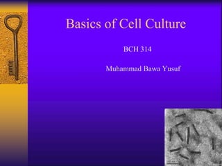 BCH 314
Muhammad Bawa Yusuf
Basics of Cell Culture
 