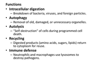 Comprehensive Overview of Basic Cell Functions and Structures in Human ...