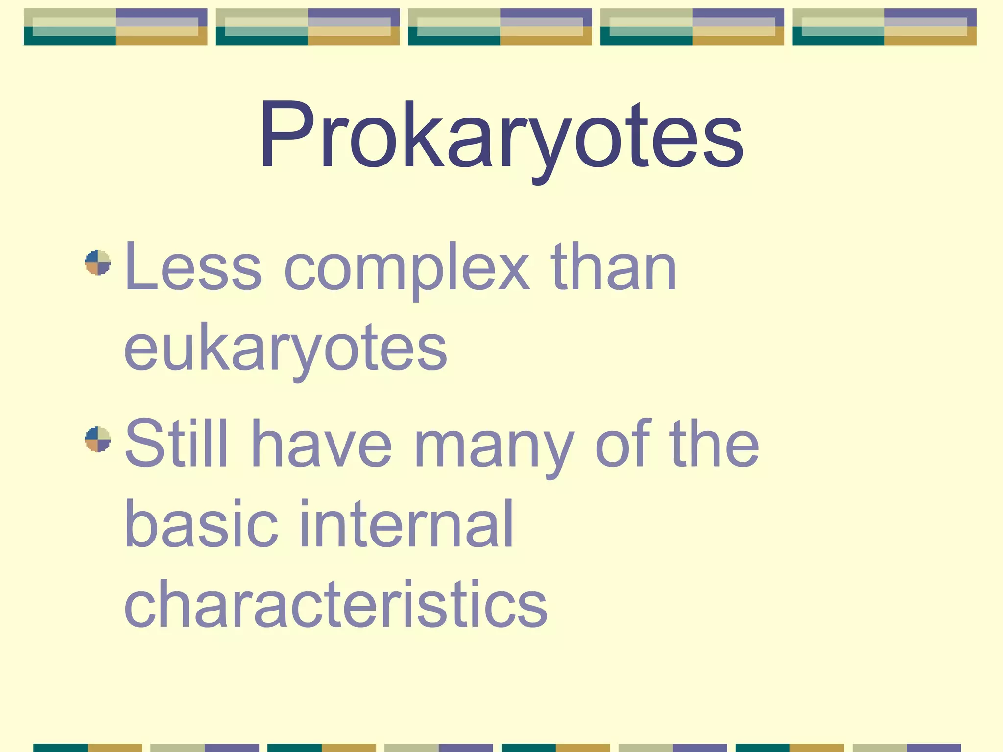 Prokaryotes Less complex than eukaryotes Still have many of the basic internal characteristics 