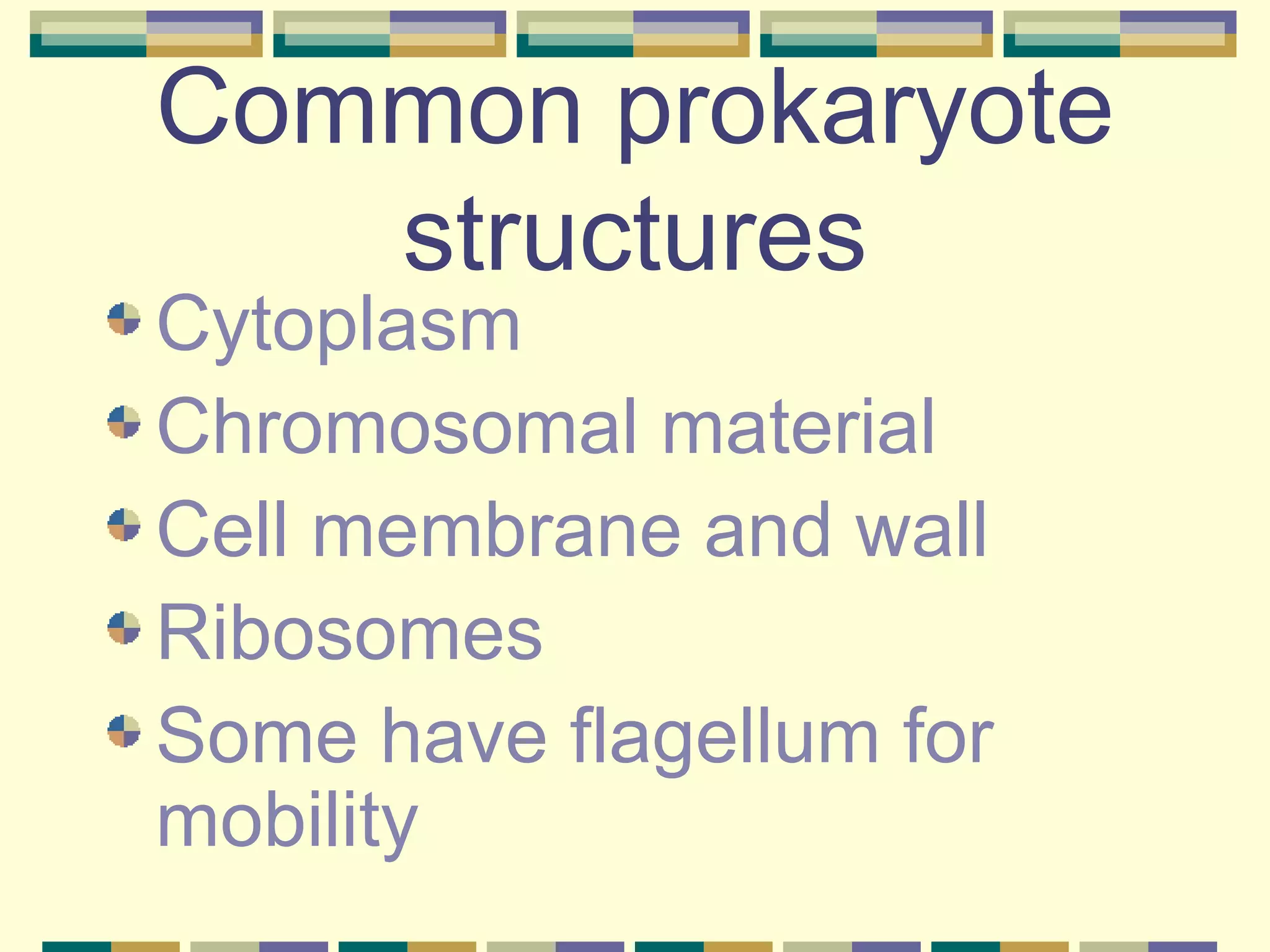 Common prokaryote structures Cytoplasm Chromosomal material Cell membrane and wall Ribosomes Some have flagellum for mobility 