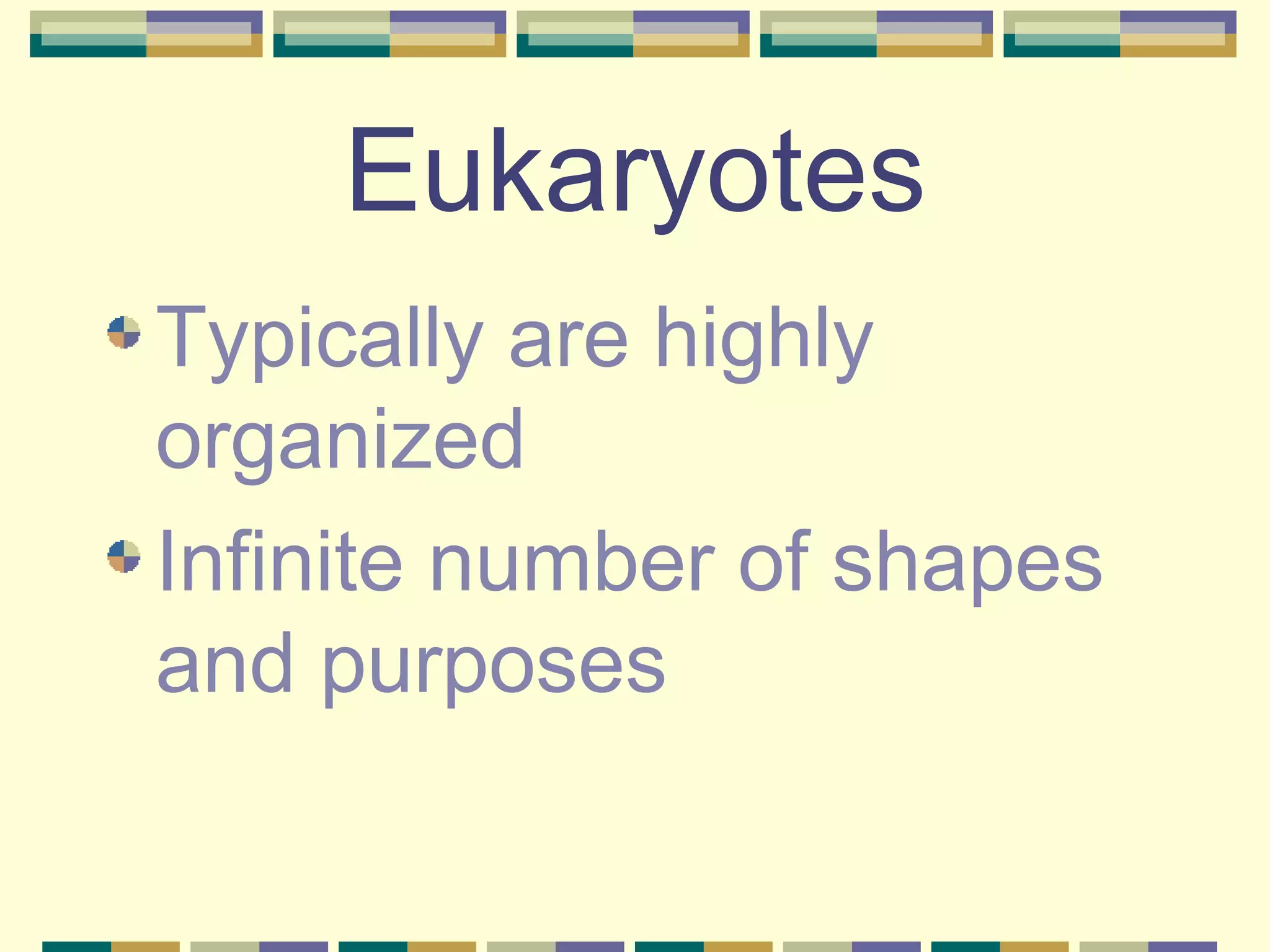 Eukaryotes Typically are highly organized Infinite number of shapes and purposes 