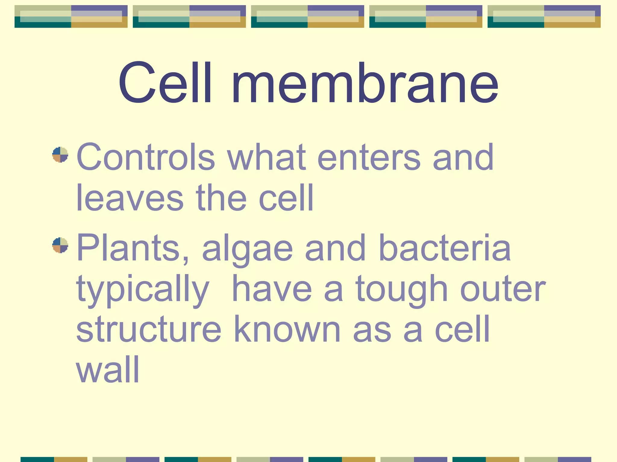 Cell membrane Controls what enters and leaves the cell Plants, algae and bacteria typically  have a tough outer structure known as a cell wall 