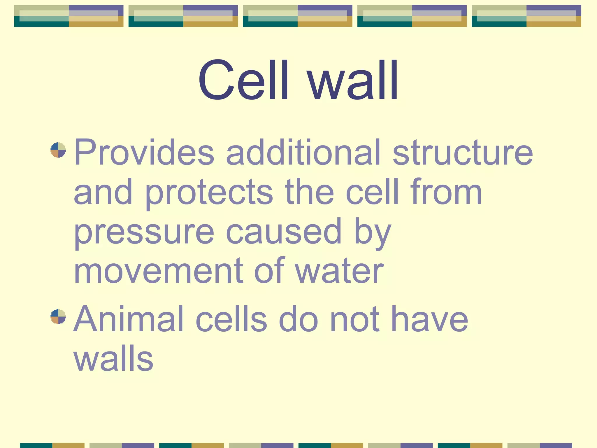 Cell wall Provides additional structure and protects the cell from pressure caused by movement of water Animal cells do not have walls 