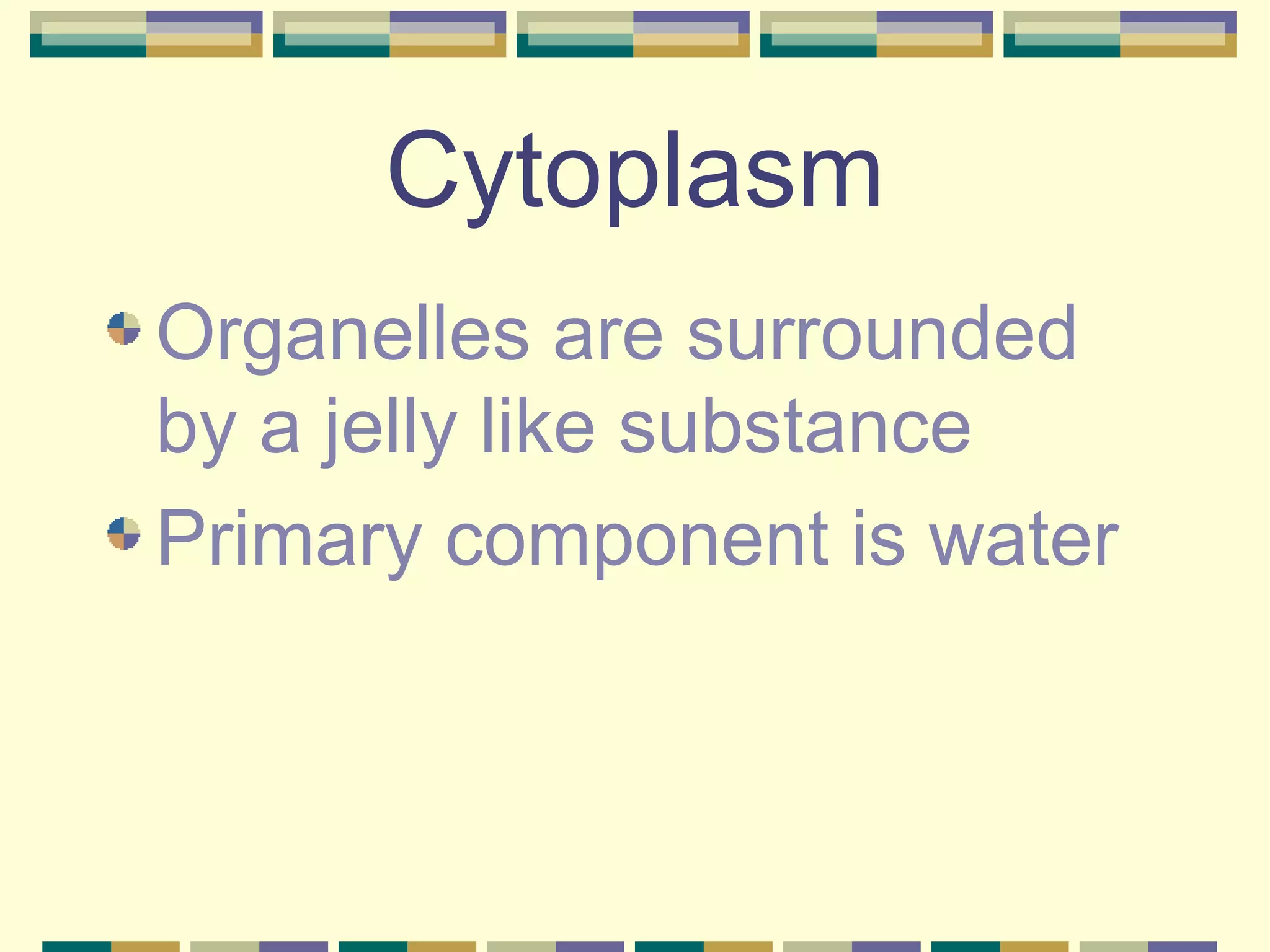 Cytoplasm Organelles are surrounded  by a jelly like substance Primary component is water 