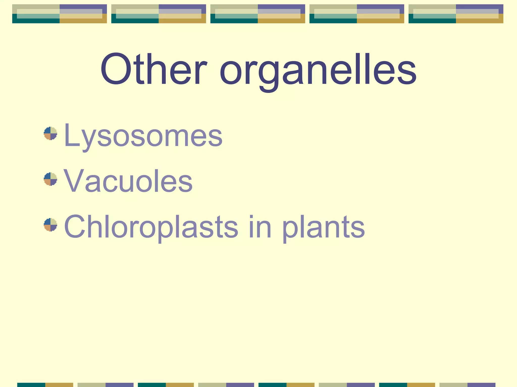 Other organelles Lysosomes Vacuoles Chloroplasts in plants 