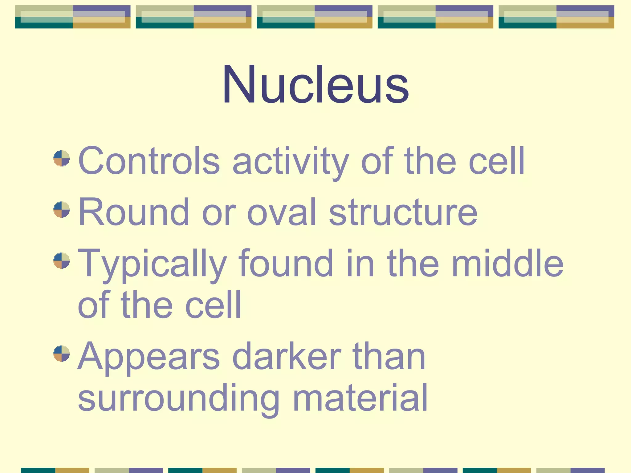 Nucleus Controls activity of the cell Round or oval structure Typically found in the middle of the cell Appears darker than surrounding material 