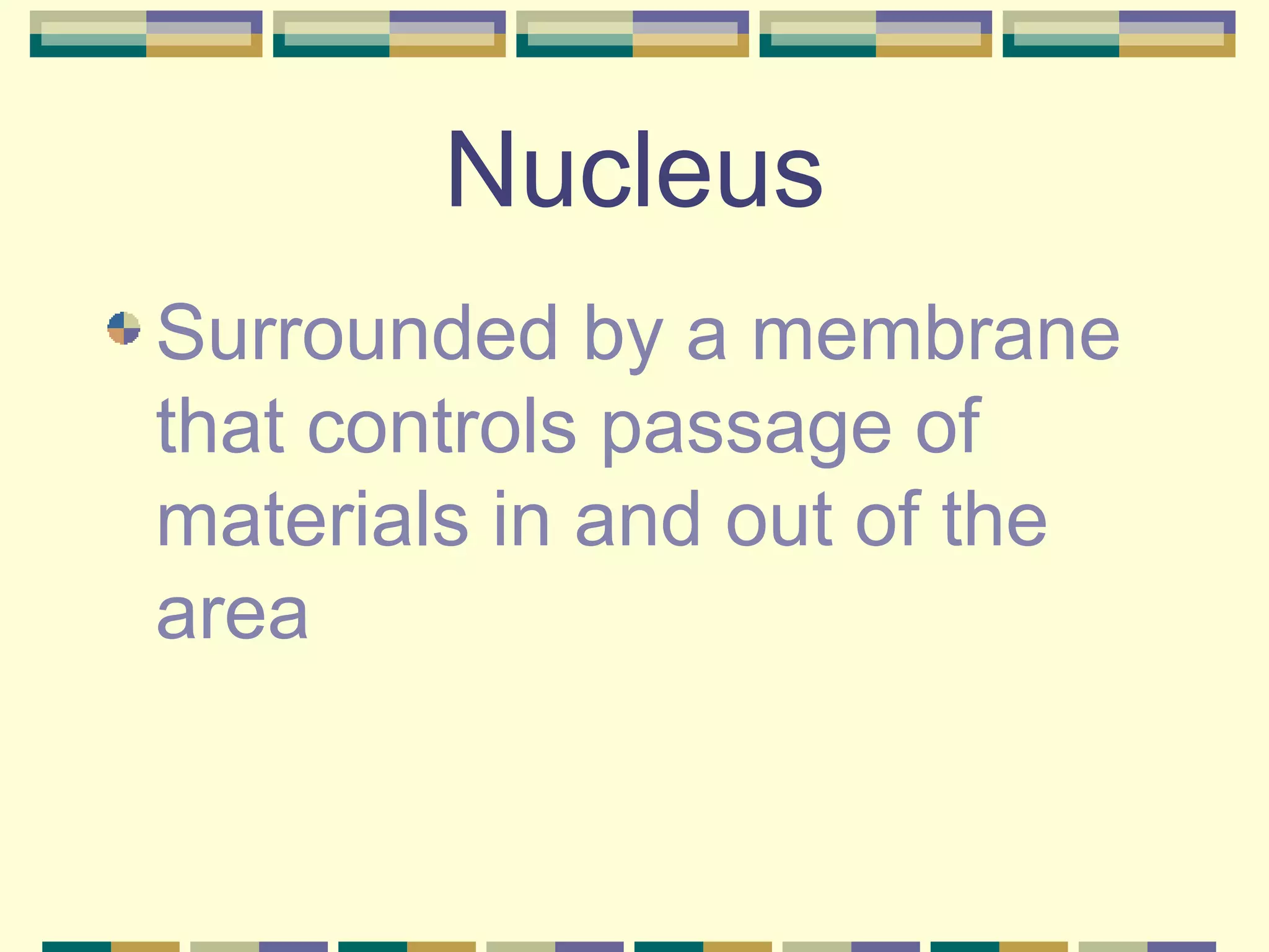 Nucleus Surrounded by a membrane that controls passage of materials in and out of the area 