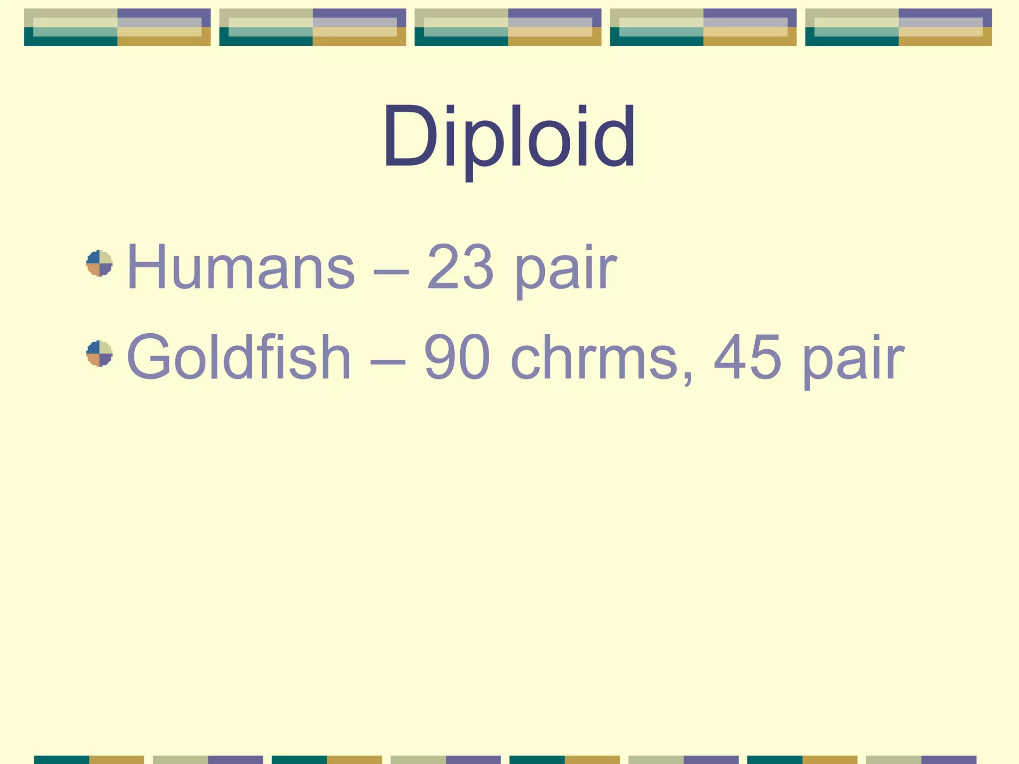 Diploid Humans – 23 pair Goldfish – 90 chrms, 45 pair 