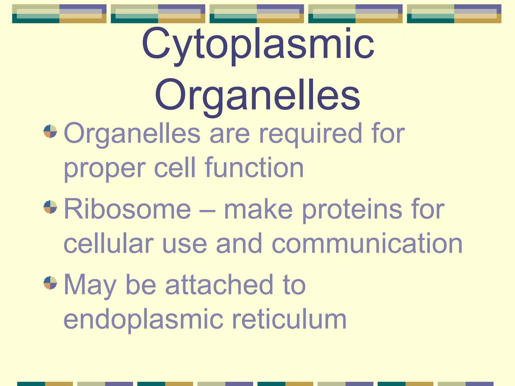 Cytoplasmic Organelles Organelles are required for proper cell function Ribosome – make proteins for cellular use and communication May be attached to endoplasmic reticulum 