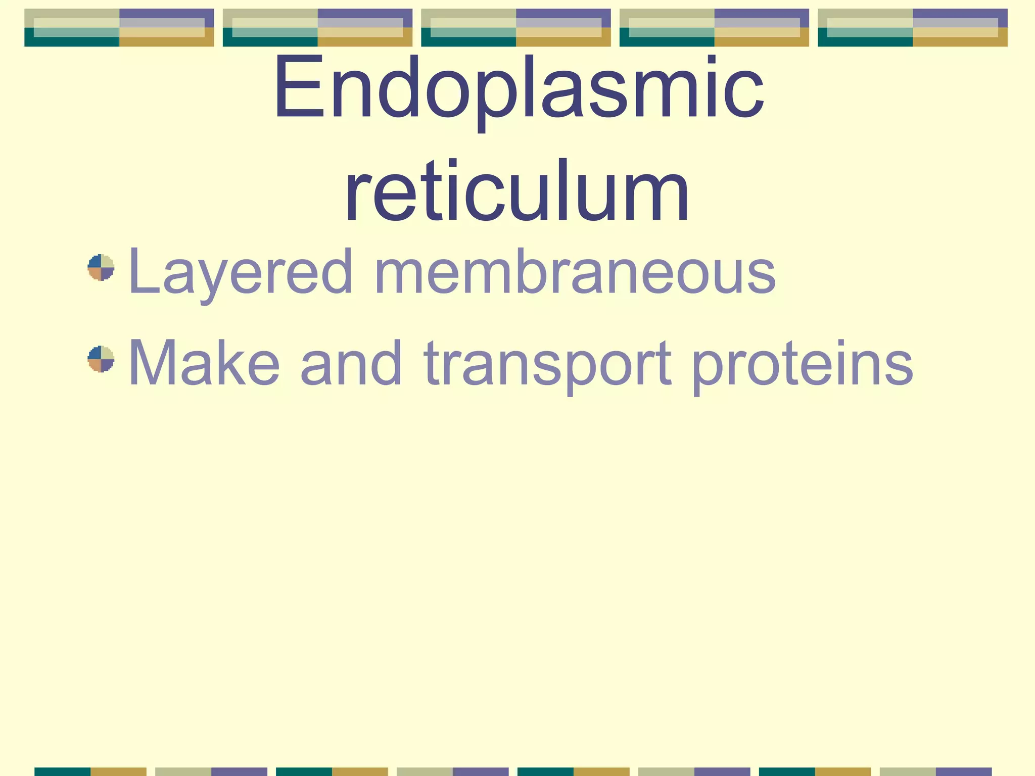 Endoplasmic reticulum Layered membraneous  Make and transport proteins 